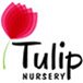 Tulip Nursery