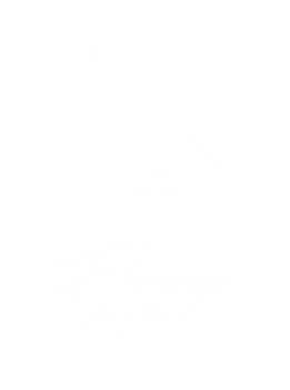 Flamingo Medical Center L.L.C